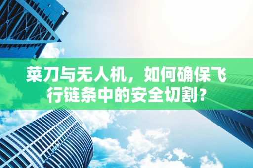 菜刀与无人机，如何确保飞行链条中的安全切割？