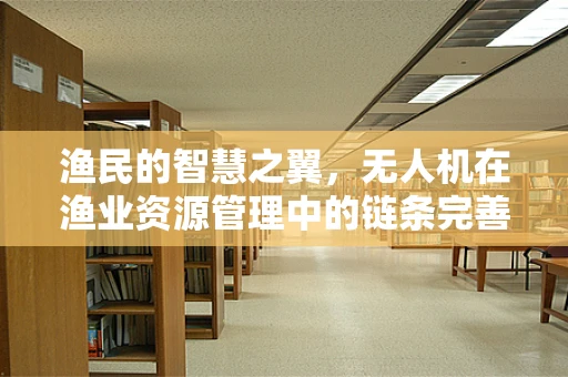 渔民的智慧之翼，无人机在渔业资源管理中的链条完善挑战