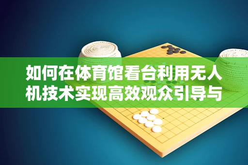 如何在体育馆看台利用无人机技术实现高效观众引导与安全监控？