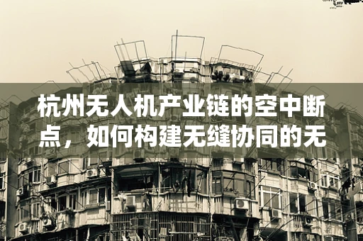 杭州无人机产业链的空中断点，如何构建无缝协同的无人机生态系统？