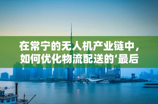 在常宁的无人机产业链中，如何优化物流配送的‘最后一公里’？
