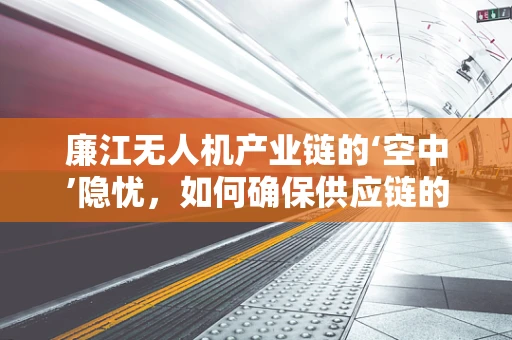 廉江无人机产业链的‘空中’隐忧，如何确保供应链的稳定与安全？