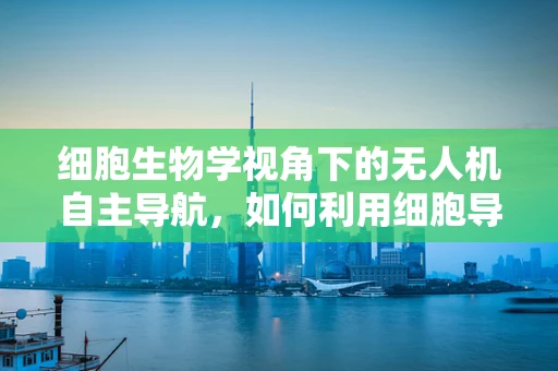 细胞生物学视角下的无人机自主导航，如何利用细胞导航机制优化无人机路径规划？