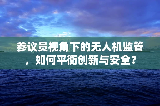 参议员视角下的无人机监管，如何平衡创新与安全？