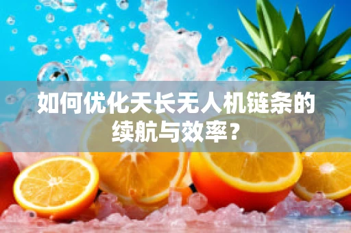 如何优化天长无人机链条的续航与效率？