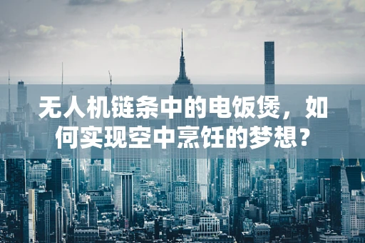 无人机链条中的电饭煲，如何实现空中烹饪的梦想？