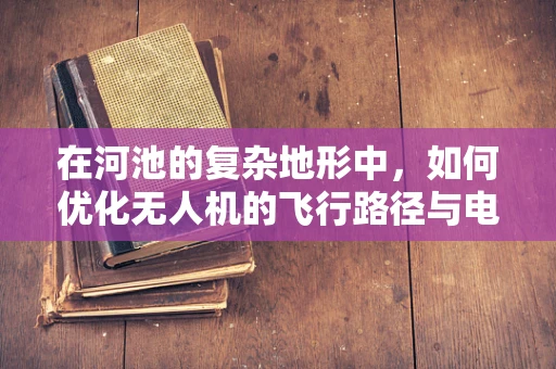 在河池的复杂地形中，如何优化无人机的飞行路径与电池续航？