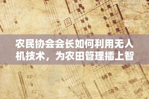 农民协会会长如何利用无人机技术，为农田管理插上智能的翅膀？