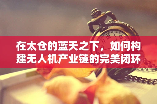 在太仓的蓝天之下，如何构建无人机产业链的完美闭环？