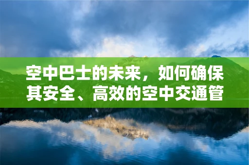 空中巴士的未来，如何确保其安全、高效的空中交通管理？