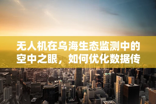 无人机在乌海生态监测中的空中之眼，如何优化数据传输链？