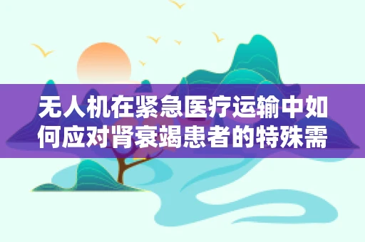 无人机在紧急医疗运输中如何应对肾衰竭患者的特殊需求？