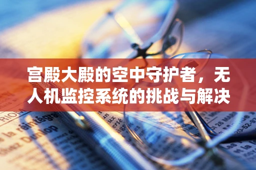 宫殿大殿的空中守护者，无人机监控系统的挑战与解决方案