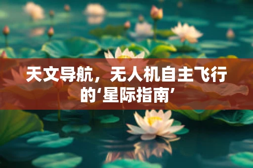 天文导航，无人机自主飞行的‘星际指南’