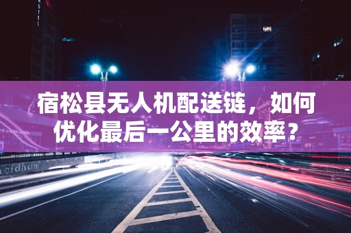 宿松县无人机配送链，如何优化最后一公里的效率？