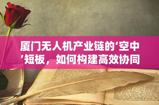 厦门无人机产业链的‘空中’短板，如何构建高效协同的无人机生态系统？