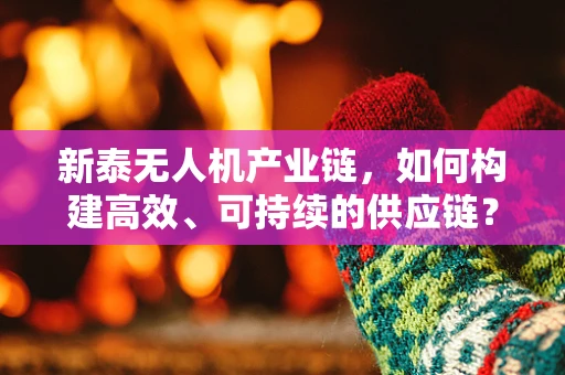 新泰无人机产业链，如何构建高效、可持续的供应链？