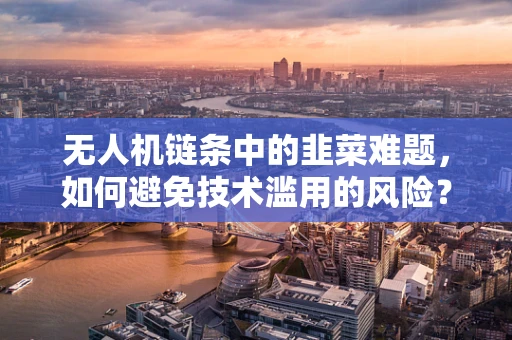 无人机链条中的韭菜难题，如何避免技术滥用的风险？