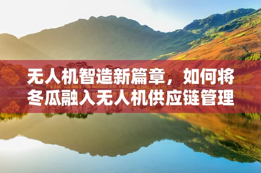 无人机智造新篇章，如何将冬瓜融入无人机供应链管理？