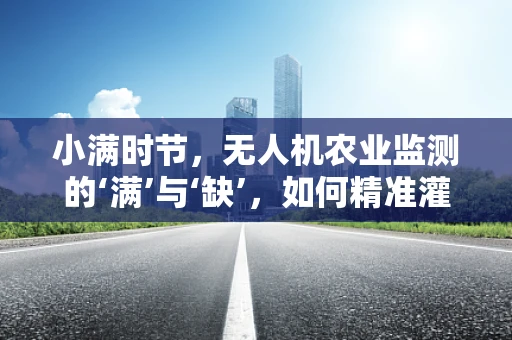 小满时节，无人机农业监测的‘满’与‘缺’，如何精准灌溉的智慧之问？