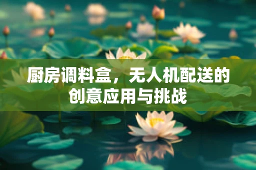 厨房调料盒，无人机配送的创意应用与挑战