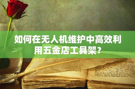 如何在无人机维护中高效利用五金店工具架？