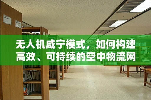 无人机咸宁模式，如何构建高效、可持续的空中物流网络？