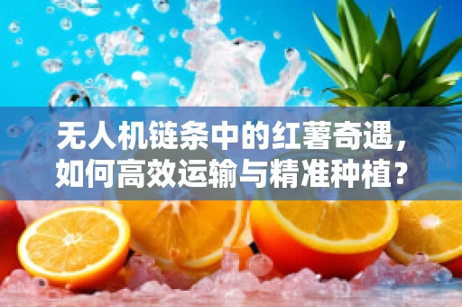 无人机链条中的红薯奇遇，如何高效运输与精准种植？