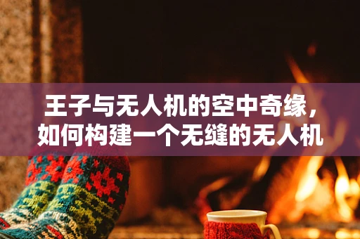 王子与无人机的空中奇缘，如何构建一个无缝的无人机服务链条？