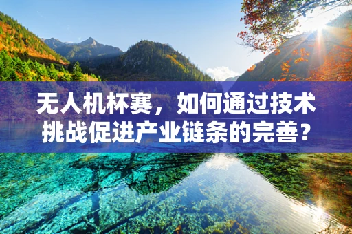 无人机杯赛，如何通过技术挑战促进产业链条的完善？