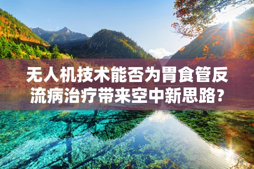 无人机技术能否为胃食管反流病治疗带来空中新思路？