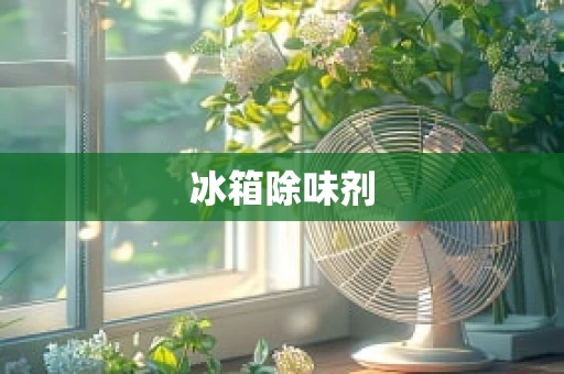 冰箱除味剂