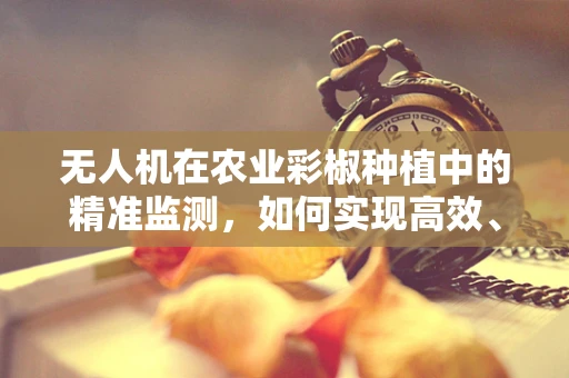 无人机在农业彩椒种植中的精准监测，如何实现高效、无损的作物健康评估？