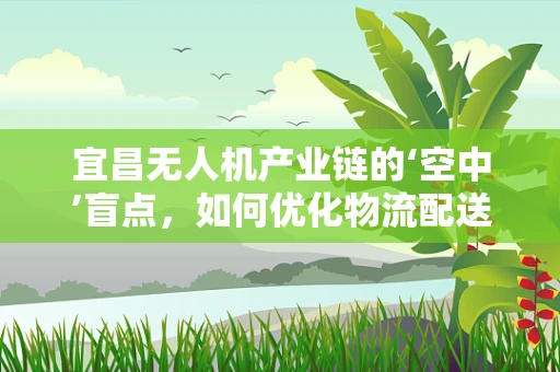 宜昌无人机产业链的‘空中’盲点，如何优化物流配送的最后一公里？