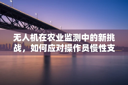 无人机在农业监测中的新挑战，如何应对操作员慢性支气管炎的呼吸问题？