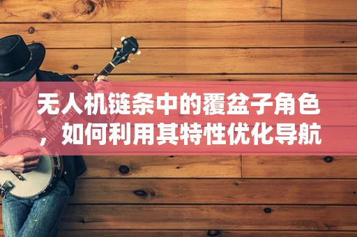 无人机链条中的覆盆子角色，如何利用其特性优化导航系统？