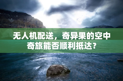 无人机配送，奇异果的空中奇旅能否顺利抵达？