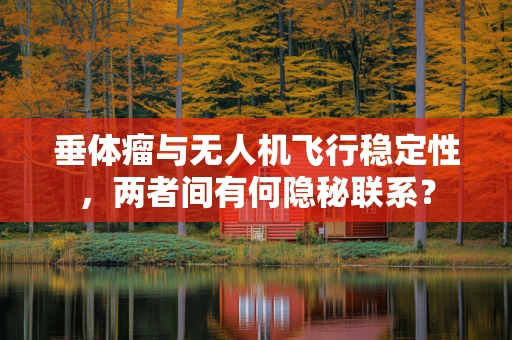 垂体瘤与无人机飞行稳定性，两者间有何隐秘联系？