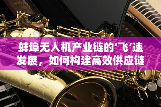 蚌埠无人机产业链的‘飞’速发展，如何构建高效供应链？