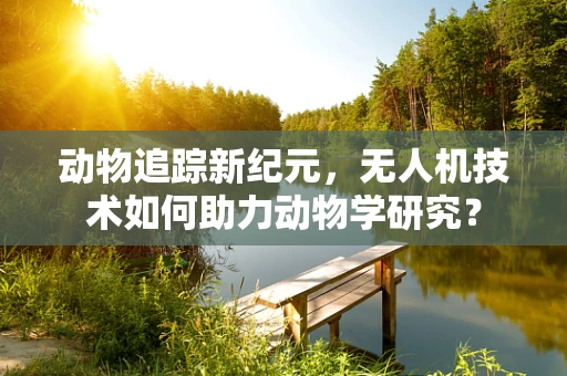 动物追踪新纪元，无人机技术如何助力动物学研究？