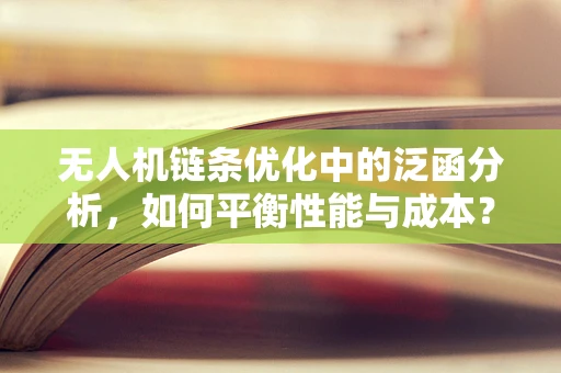 无人机链条优化中的泛函分析，如何平衡性能与成本？
