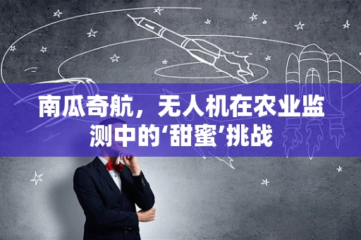 南瓜奇航，无人机在农业监测中的‘甜蜜’挑战