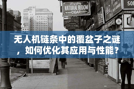 无人机链条中的覆盆子之谜，如何优化其应用与性能？