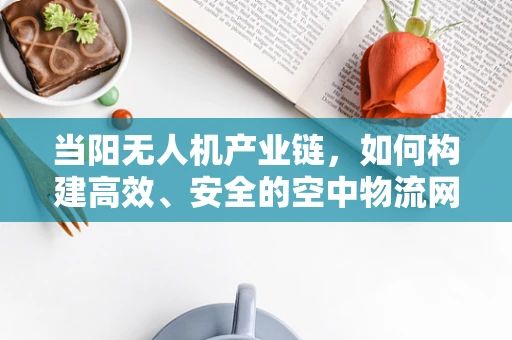 当阳无人机产业链，如何构建高效、安全的空中物流网络？