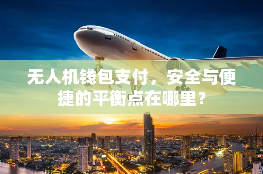 无人机钱包支付，安全与便捷的平衡点在哪里？