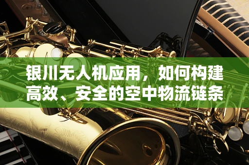 银川无人机应用，如何构建高效、安全的空中物流链条？