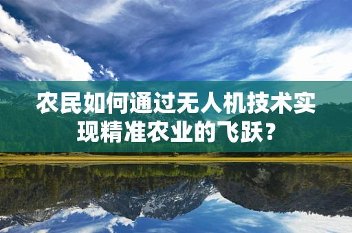 农民如何通过无人机技术实现精准农业的飞跃？
