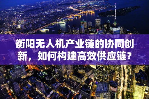 衡阳无人机产业链的协同创新，如何构建高效供应链？