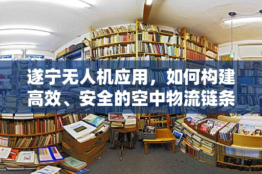 遂宁无人机应用，如何构建高效、安全的空中物流链条？