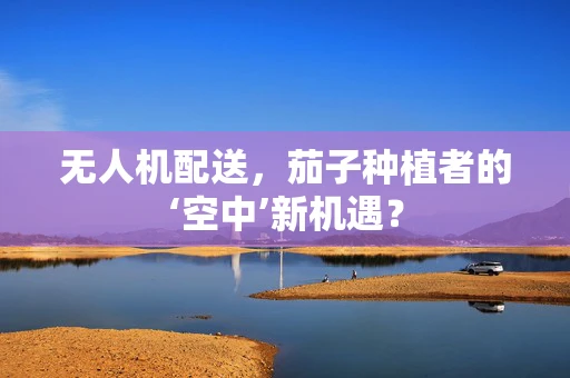 无人机配送，茄子种植者的‘空中’新机遇？